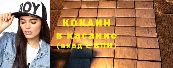 apvp Каменка