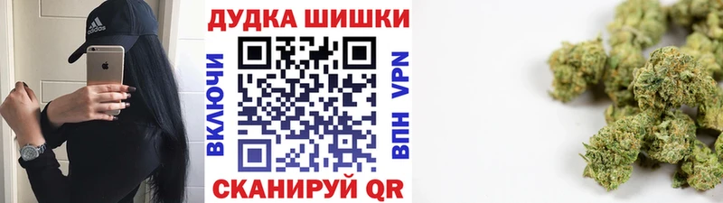Купить где  Талица  МАРИХУАНА семена 